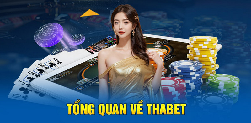 Trải nghiệm iGaming đẳng cấp tại Thabet: Nơi bạn chơi vui và thắng lớn với các trò chơi đa dạng, ưu đãi hấp dẫn và dịch vụ hỗ trợ chuyên nghiệp. Tham gia ngay để tận hưởng cảm giác chiến thắng!